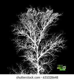 tree without leaves Silhouette Tracing. Vector