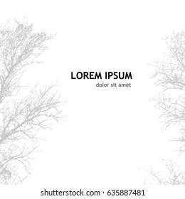 tree without leaves Silhouette Tracing. Vector