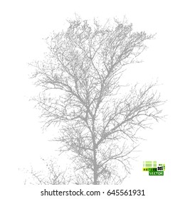 tree without leaves Silhouette Tracing. Vector