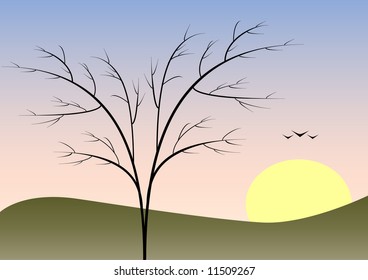Tree without leaves, sunrise and flying birds