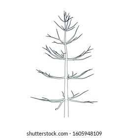 Tree without leaves. Vector illustration. Autumn tree