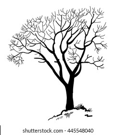A tree without leaves . Tree in winter , a dry tree .