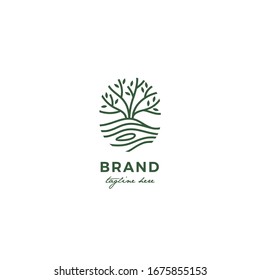 tree and wood texture logo premium vector