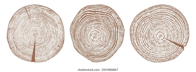 Tree wood texture. Wooden old trunk. Cut timber log. Abstract rings nature pattern. Brown circle stump. Wood cross section. Set vector illustration. EPS 10.