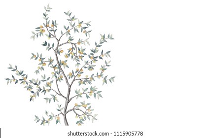 Tree with yellow fruits, branches and leaves