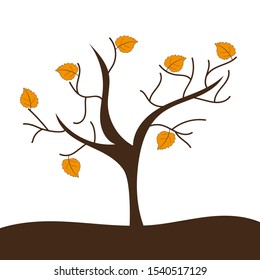 Tree with yellow leaves on a white background