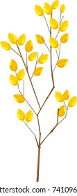 Tree with yellowed leaves