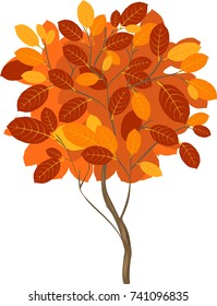 Tree with yellowed leaves