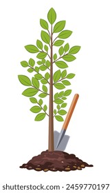 Tree. A young garden plant. There is a shovel sticking out of the ground. Illustration used for collage and web design. Theme garden and vegetable garden, agronomy, ecology, hobby, agriculture. 