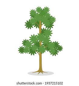 Tree.Flat design style.Isolated on white background.Vector illustration about tree.