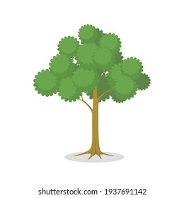 Tree.Flat design style.Isolated on white background.Vector illustration about tree