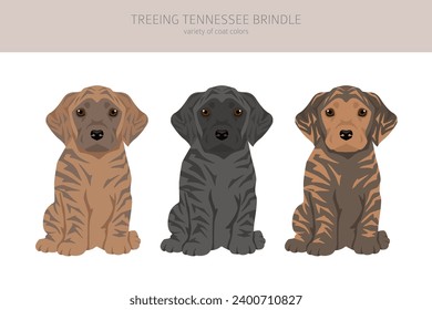 Treeing Tennessee Brindle puppies  clipart. Different poses, coat colors set.  Vector illustration