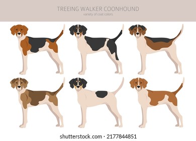 Treeing Walker coonhound clipart. Postas diferentes, colores de abrigo.  Ilustración del vector