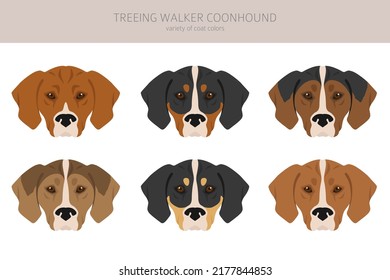 Treeing Walker coonhound clipart. Different poses, coat colors set.  Vector illustration