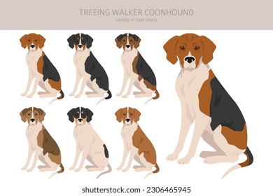 Treeing Walker coonhound clipart. Postas diferentes, colores de abrigo.  Ilustración del vector