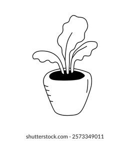 A tree-like houseplant in a pot. Vector illustration in doodle style. Isolate on a white