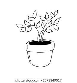 A tree-like houseplant in a pot. Vector illustration in doodle style. Isolate on a white