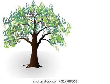 Tree,oak tree vector illustration