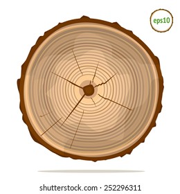 Tree-rings. Vector graphics. 