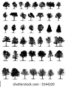 Trees 2 (vector)