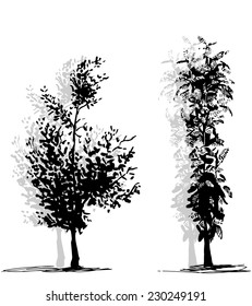 trees