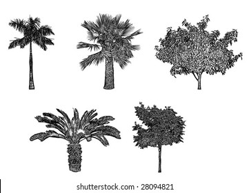 Trees