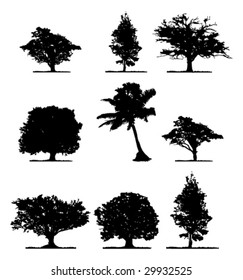 Trees