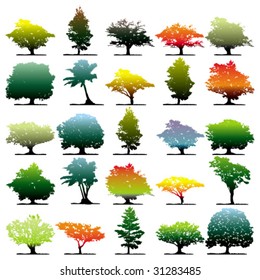 Trees