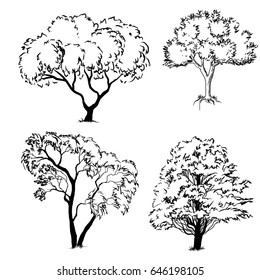 Trees