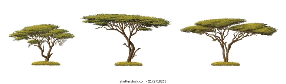 27,987 African Trees Vector Images, Stock Photos & Vectors | Shutterstock