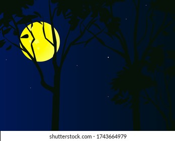 trees against a clear moonlit sky
