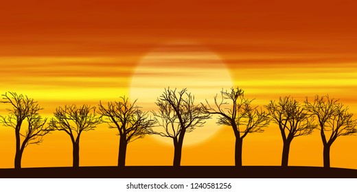 Trees against the setting sun, bright sunset sky, vector illustration, EPS10 