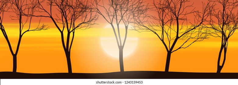 Trees against the setting sun, bright sunset sky, panoramic view, vector illustration, EPS10