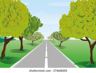 trees along the road, leaving the horizon