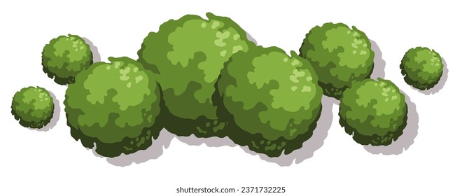 Trees for architectural floor plans. Entourage design. Top view for the landscape design plan. Vector illustration.