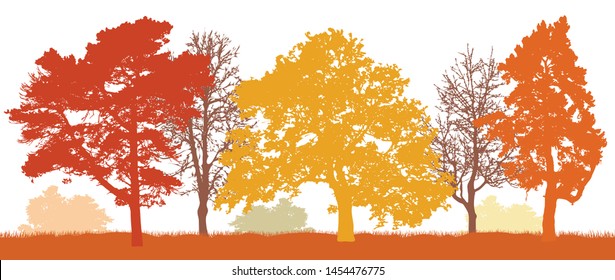 Trees in autumn silhouette. Autumn park. Vector illustration. 
