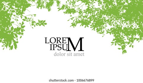 Trees background. forest. Vector