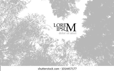 Trees background. forest. Vector