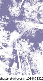 Trees background. forest. Vector