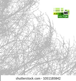 Trees background. forest. Vector