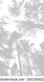 Trees background. forest. Vector