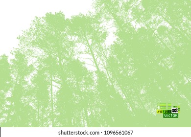 Trees background. forest. Vector