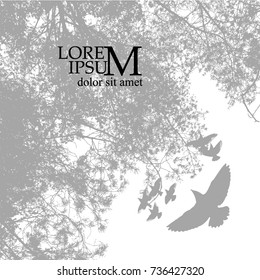 Trees background. forest. Vector