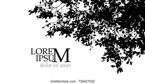 Trees background. forest. Vector