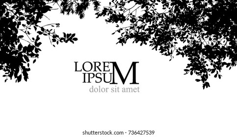 Trees background. forest. Vector