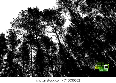 Trees background. forest. Vector