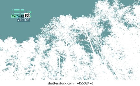 Trees background. forest. Vector