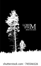 Trees background. forest. Vector