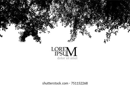 Trees background. forest. Vector