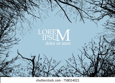 Trees background. forest. Vector